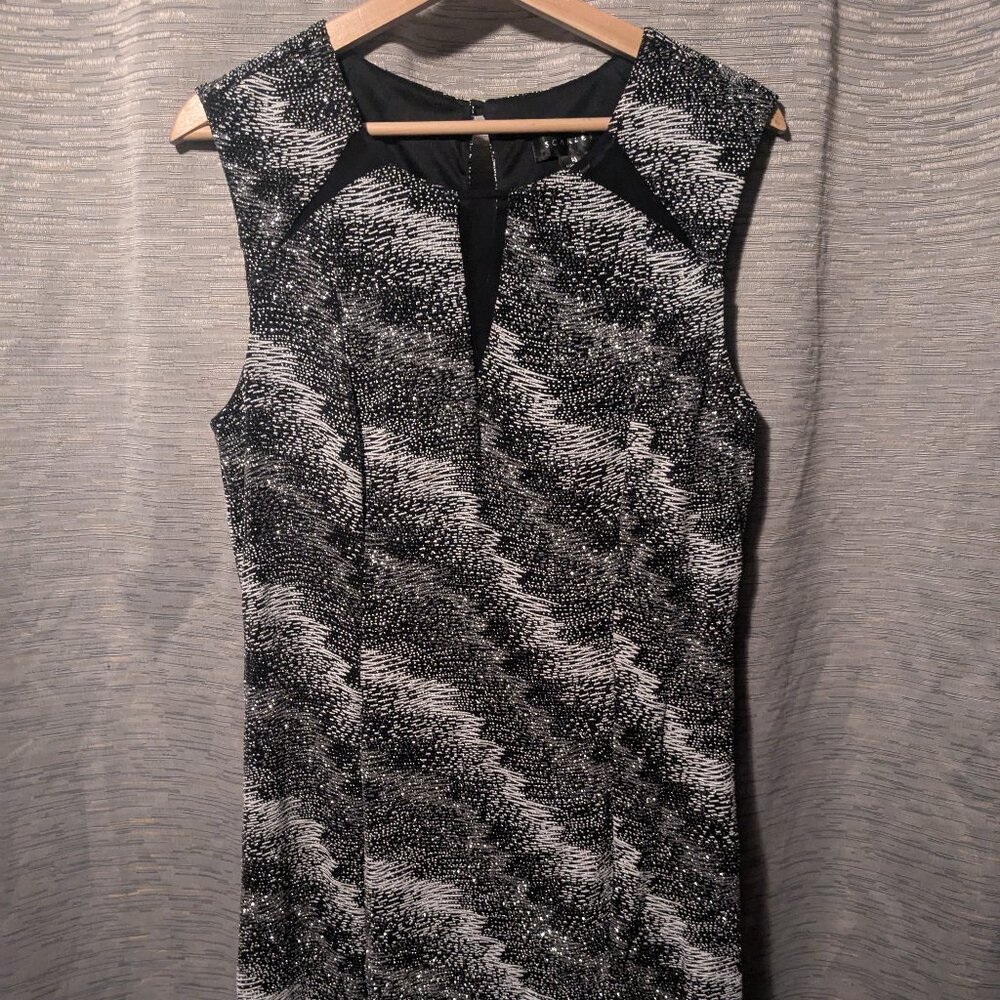 Shimmery Scarlett dress black and white